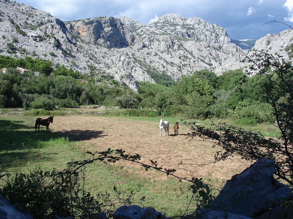 סטאריגרד-פקלניצה Holiday Home Paklenica חדר תמונה