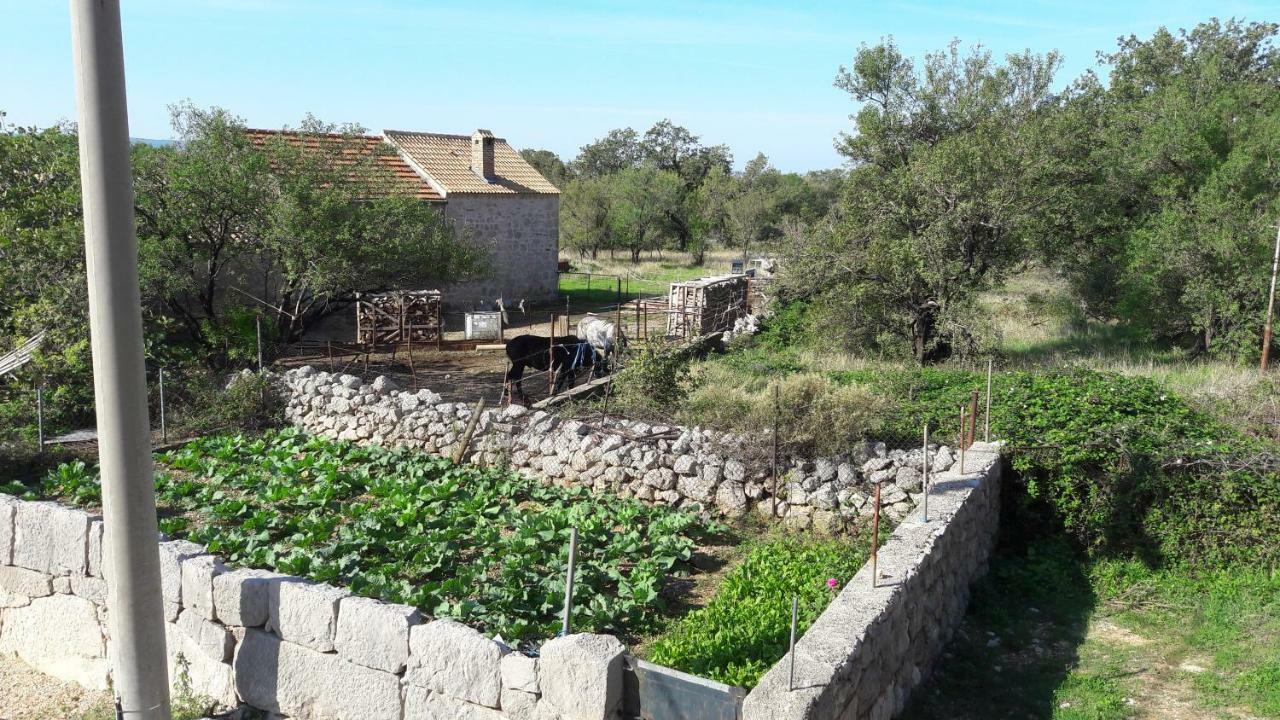 סטאריגרד-פקלניצה Holiday Home Paklenica מראה חיצוני תמונה